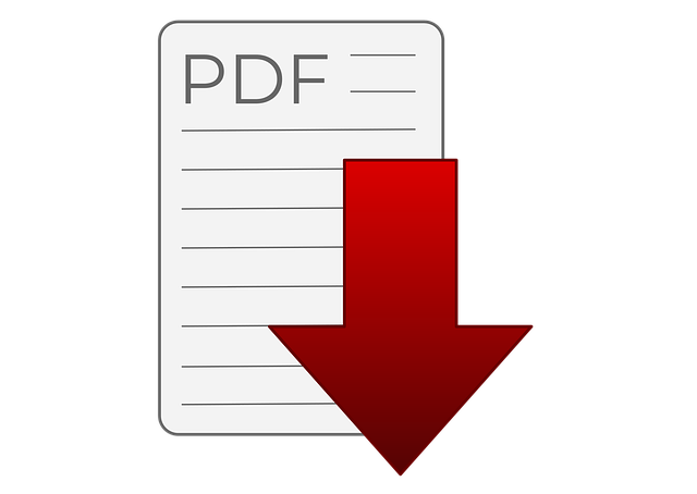 DDownload of the statute as PDF